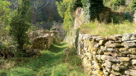 Ces communes qui pourraient disparaître dans le Puy-de-Dôme