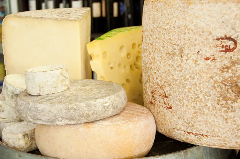 L'agriculture en Auvergne entre tradition et innovation fromages